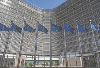 Euroopa Liidu lipud